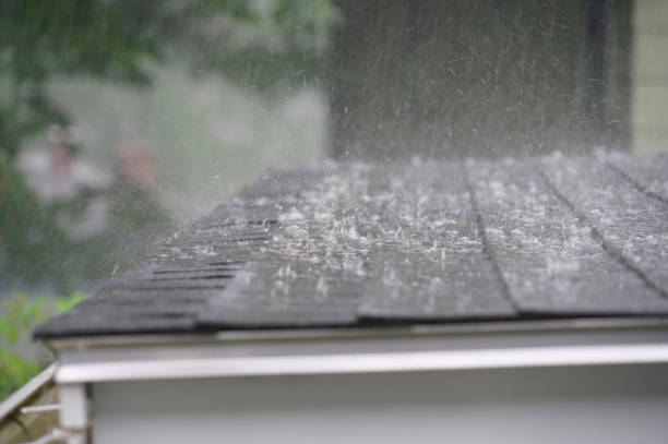 Best Roof Moss and Algae Removal  in Sunset Hills, MO
